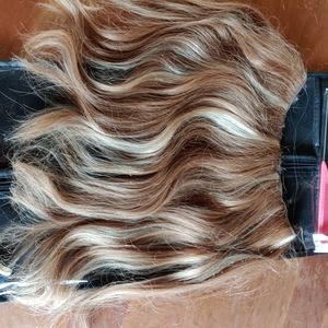 Hidden Crown Daydream 14"